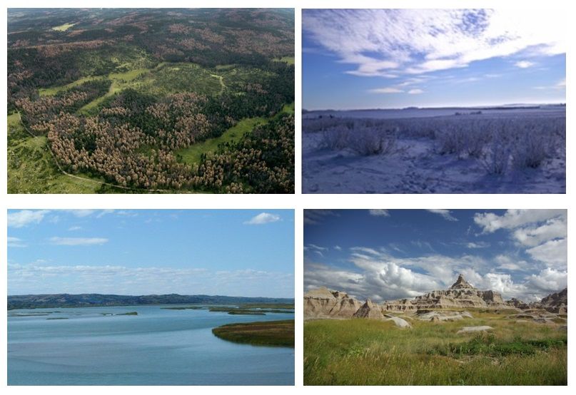 Land of Infinite Variety